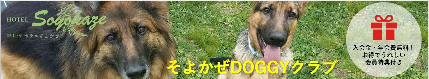 そよかぜドギークラブのご案内