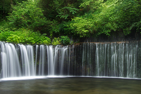 白糸の滝